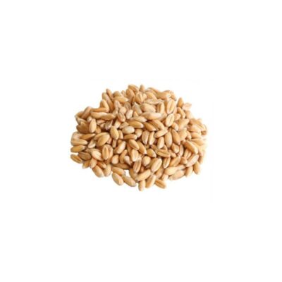 Just Natural Bulk Organic Spelt Grain