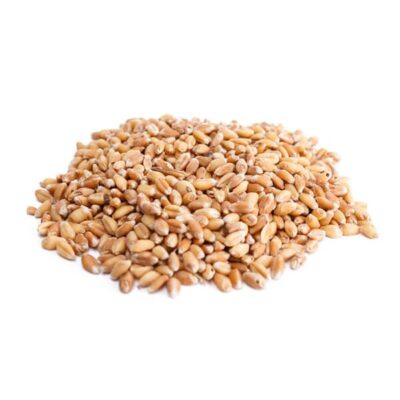 Just Natural Bulk Organic Wheat Grain