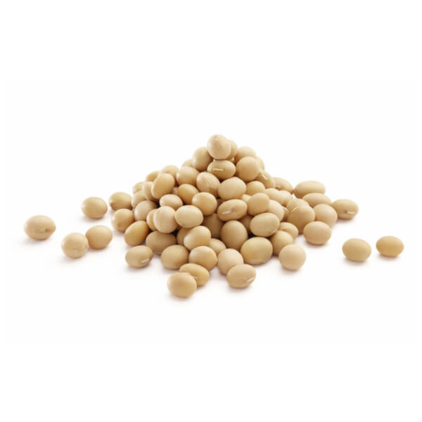 Just Natural Bulk Organic Soya Beans 25kg