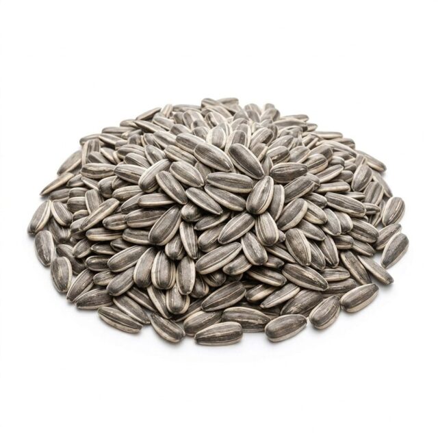 Just Natural Bulk Sunflower Seeds
