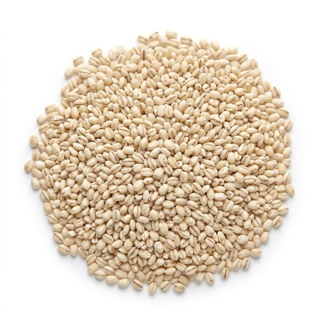Just Natural Bulk Organic Pearled Barley