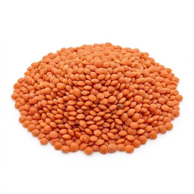 Just Natural Bulk Organic Red Football Lentils