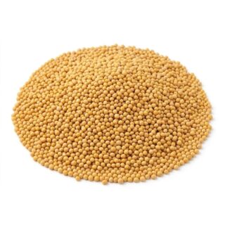 Just Natural Bulk Organic Mustard Seed Yellow