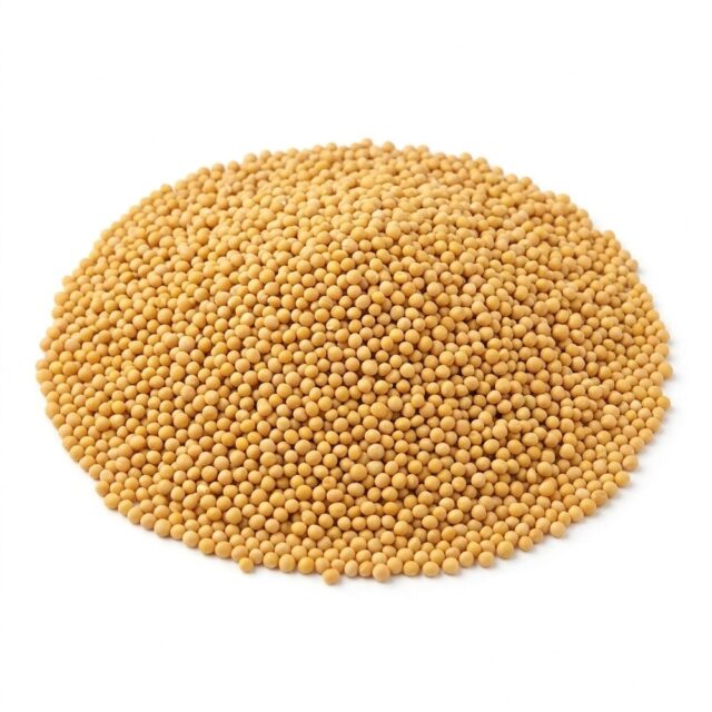 Just Natural Bulk Organic Mustard Seed Yellow