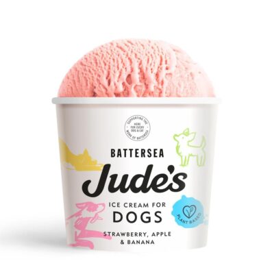 Jude's Ice Cream for Dogs