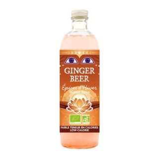 Karma Kombucha Ginger Beer Winter Spice